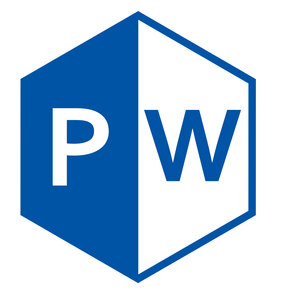 PNG WEBER logo