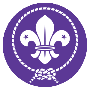 The Scout Association of Papua New Guinea (SAPNG) logo