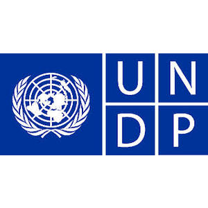 United Nations Fund for Population Activities (UNFPA) logo